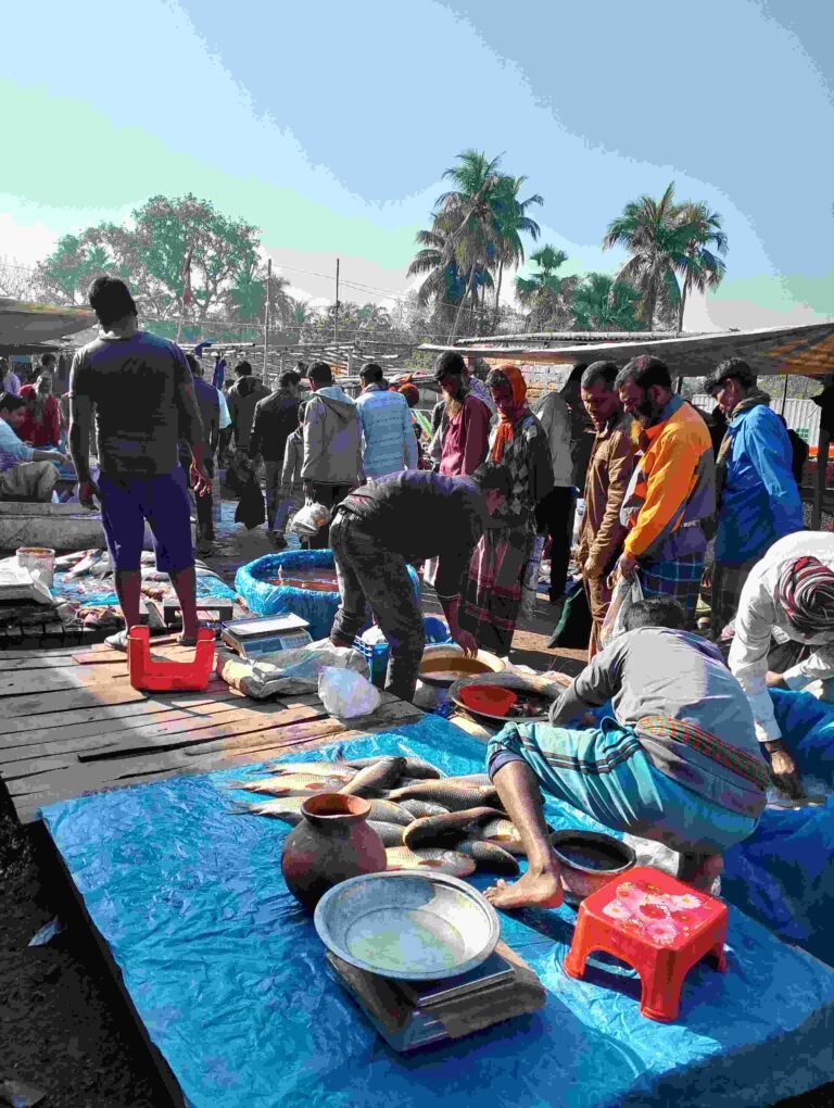 open fish market